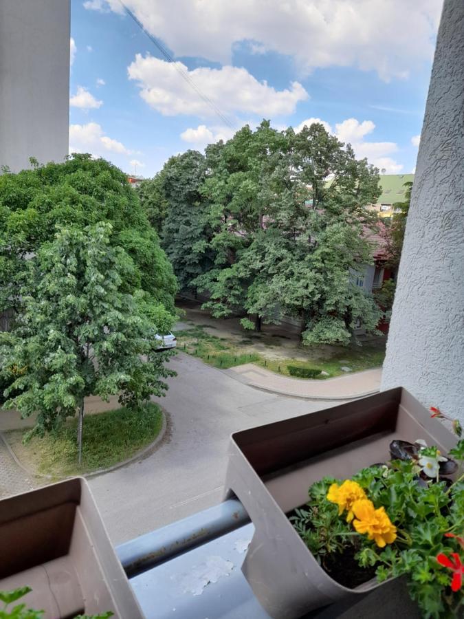 Apartman Aurora Novi Sad Exterior foto